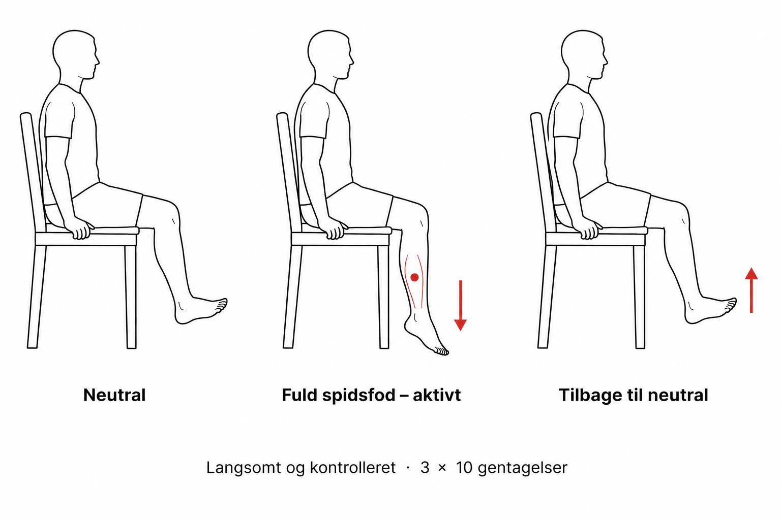 Person der laver aktiv plantarfleksion med fuld spidsfod og tilbage