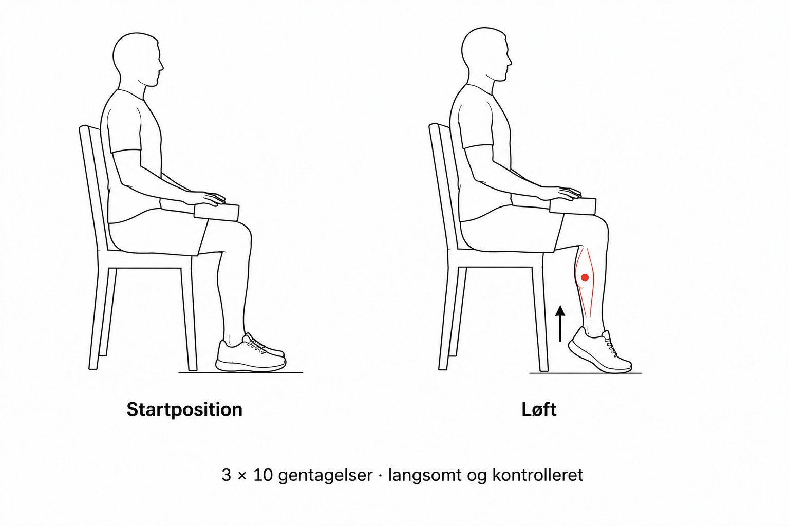 Person der laver siddende hælløft med vægt