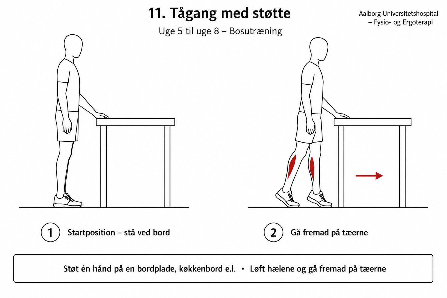 Person der går på tæer med støtte ved bordplade