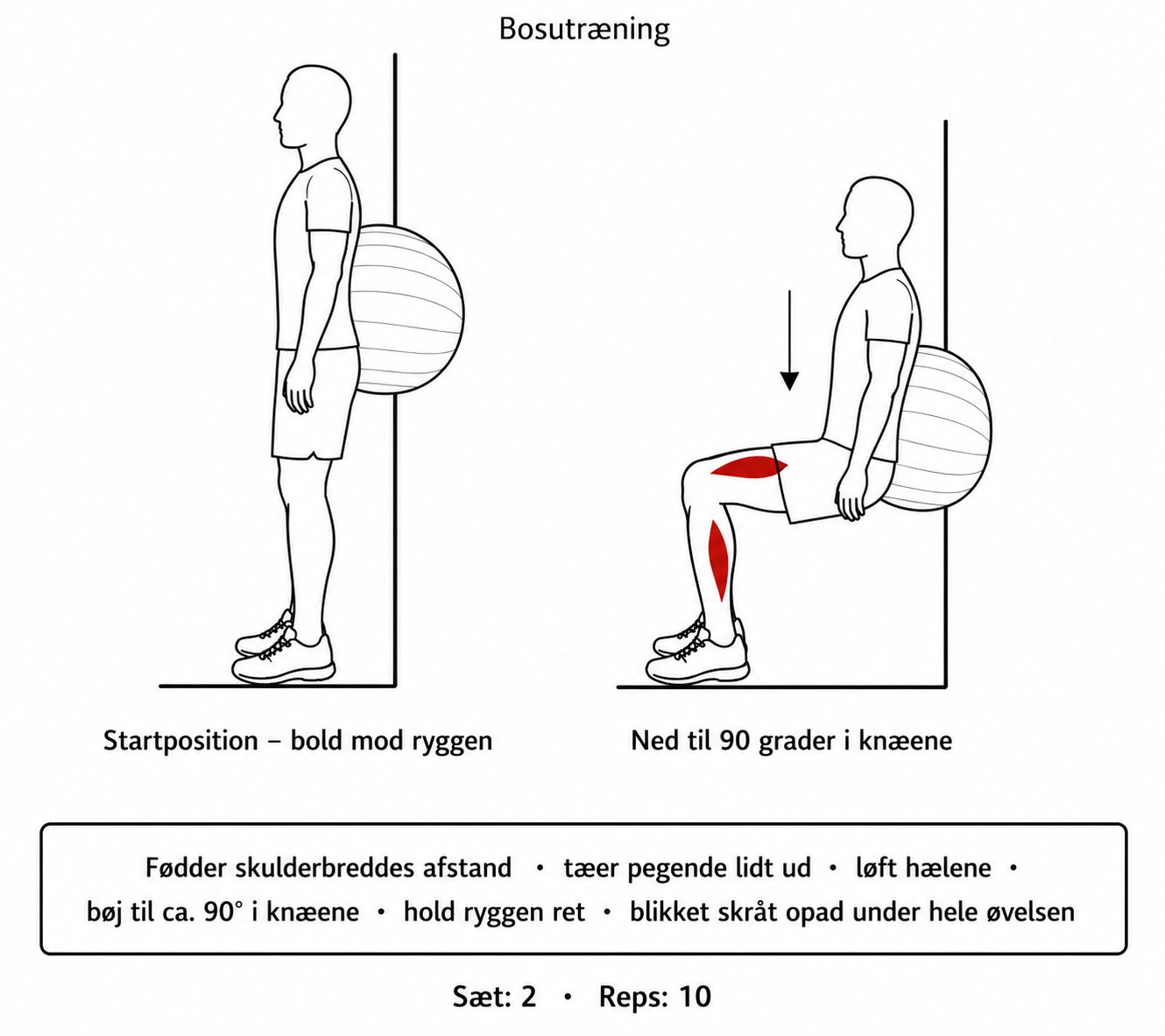 Person der træner styrke med fitnessbold og bosu