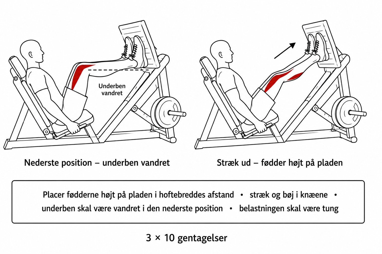 Person der træner benpres