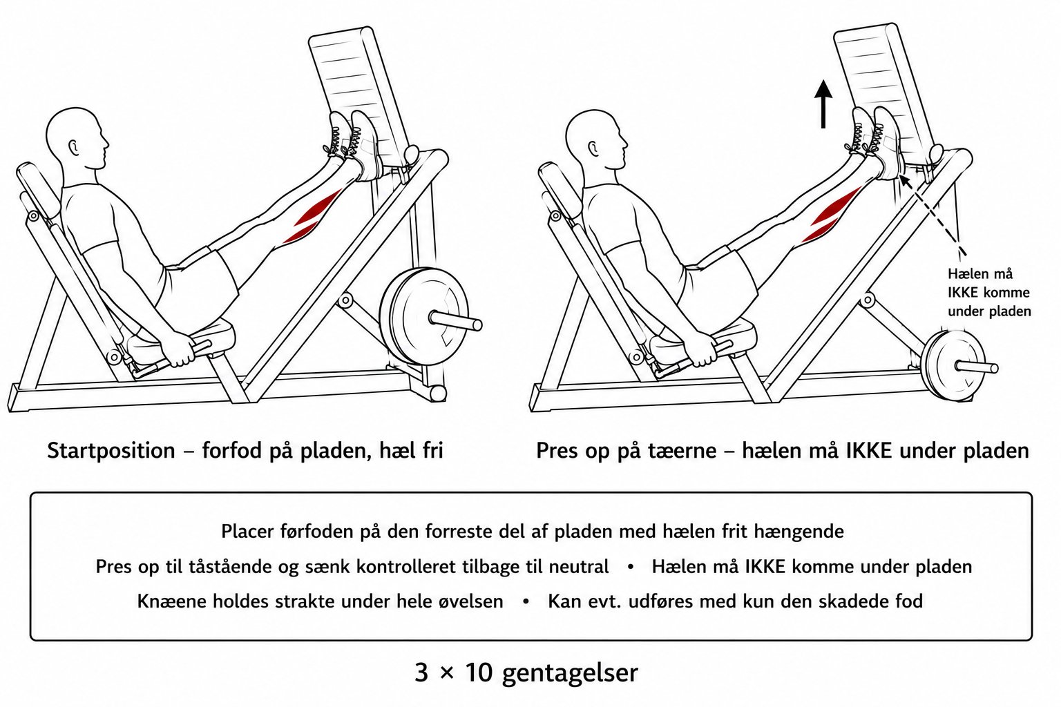 Person der laver tåpres på benpresmaskine